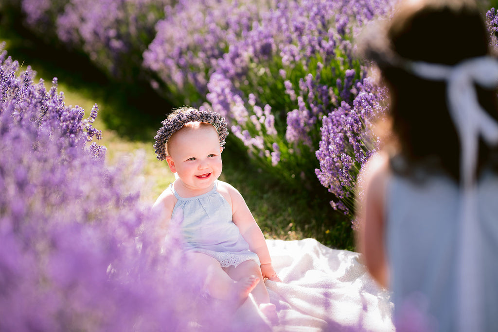 Purple Hill Lavender Farm