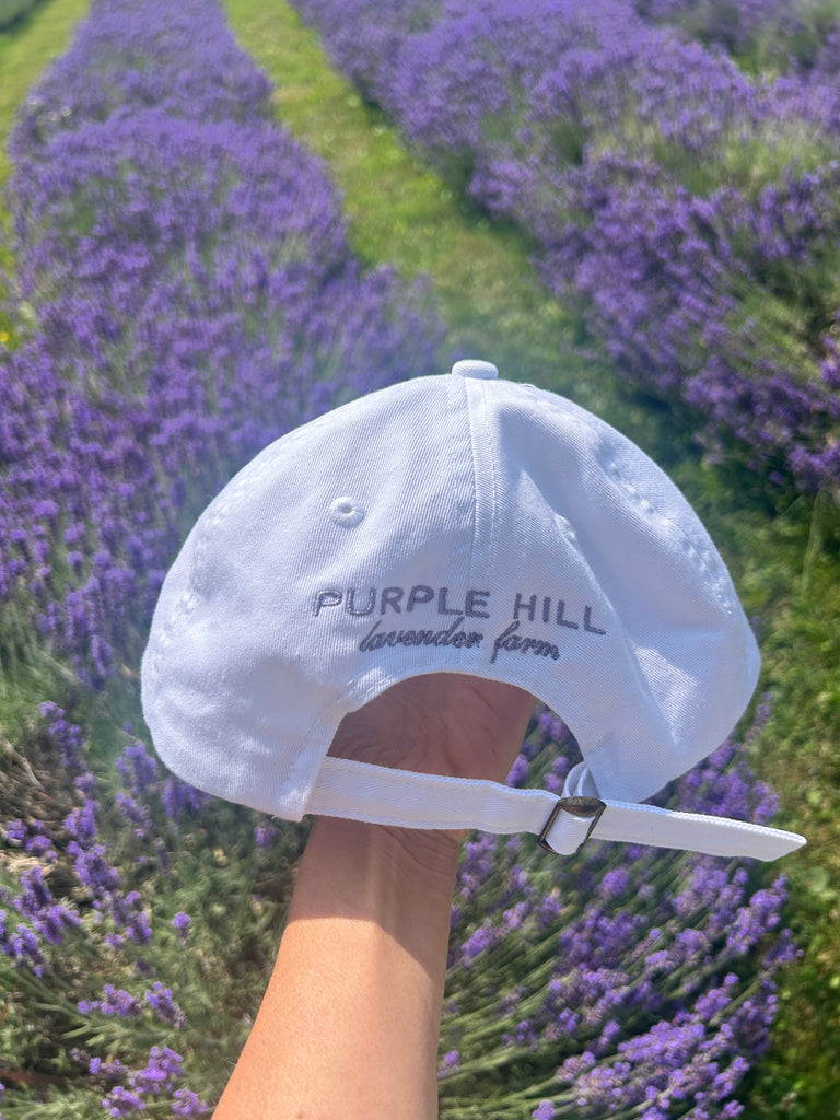 Lavender baseball cap