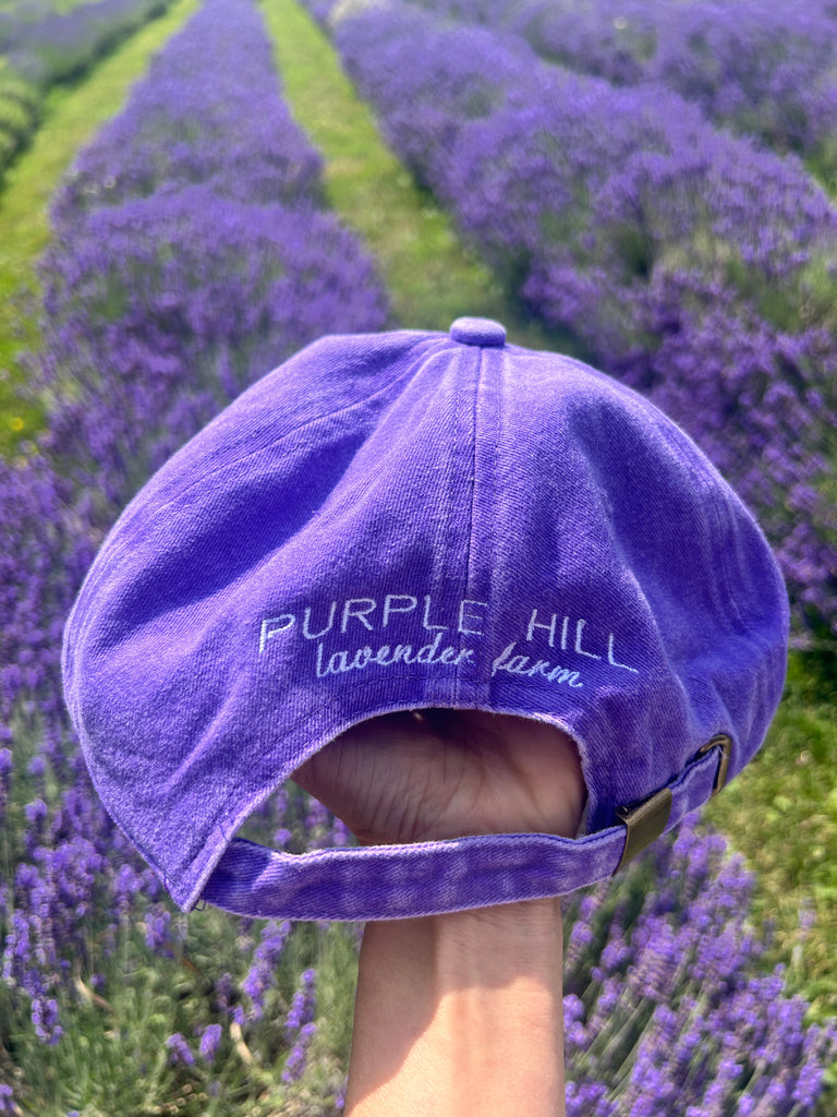 Lavender baseball cap