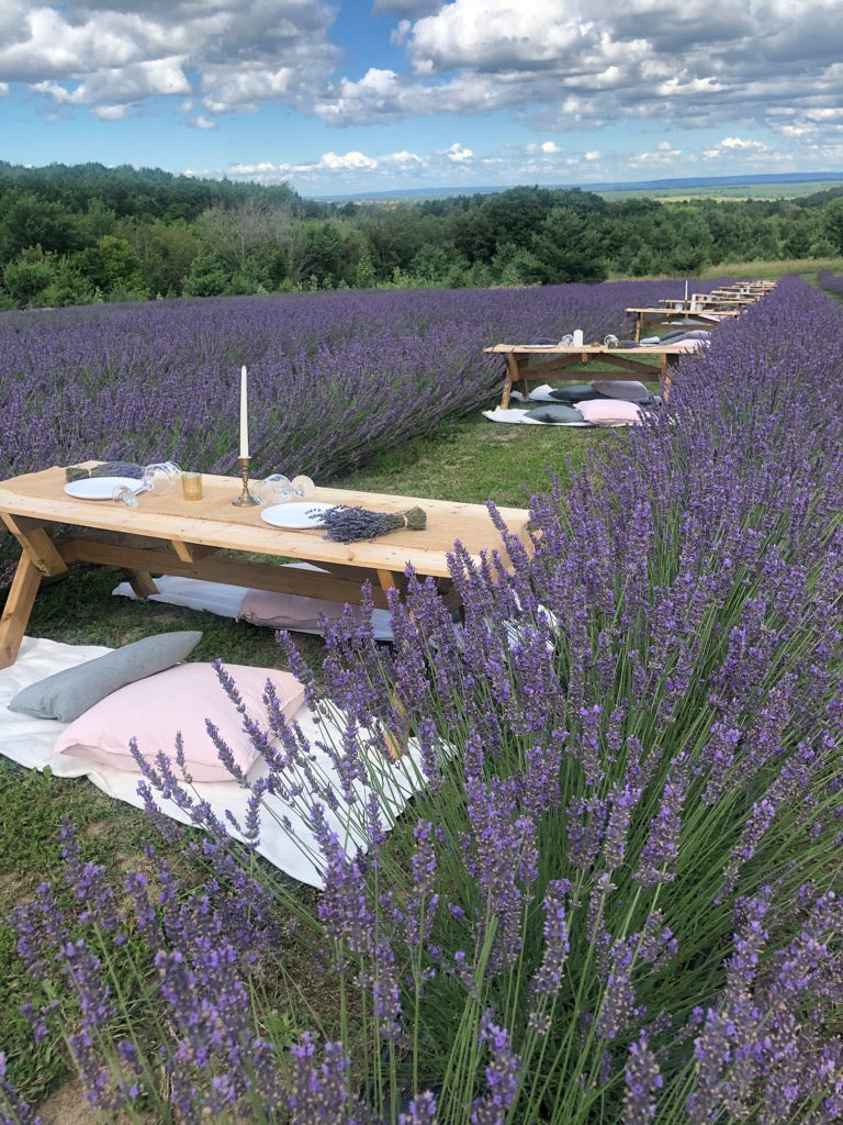 Purple Ranch Products β Purple Hill Lavender Farm
