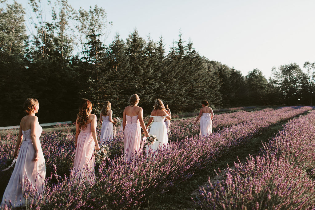 Purple Ranch Contact Us β Purple Hill Lavender Farm