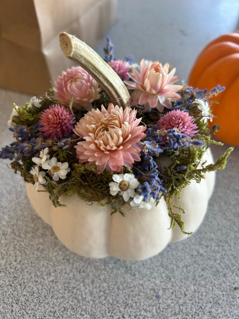 WHITE Mini pumpkin dried arrangement