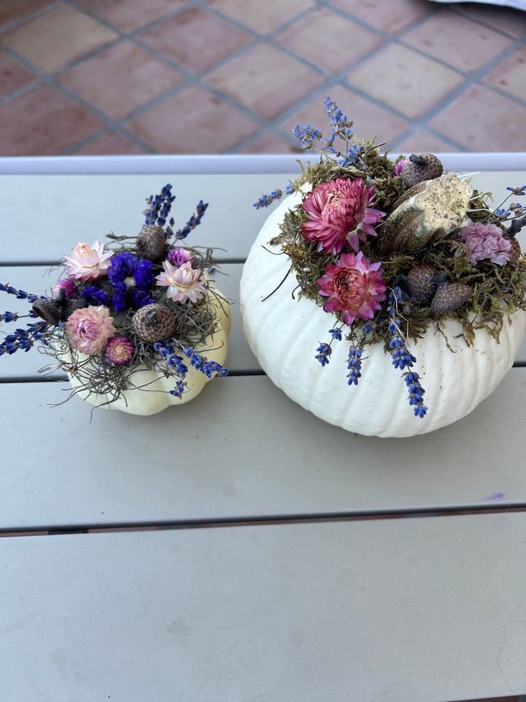 White MEDIUM pumpkin with dried florals